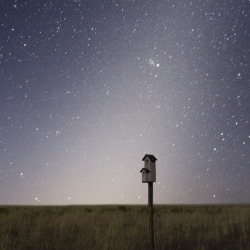 Zodiacal Light by Tony and Daphne Hallas