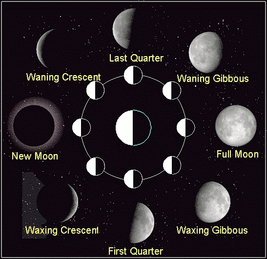 What are the phases of the Moon?