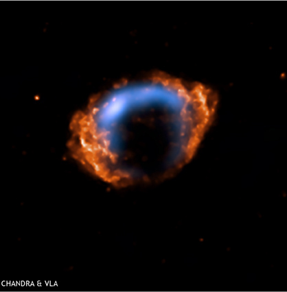 chandra and VLA image of G1.9+0.3