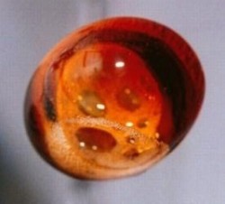 In 1985, Coke was flown into space. The carbon dioxide fizzed all the way through the zero-G blob (NASA)