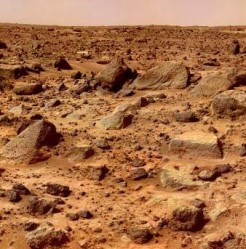 Rocks on the surface of Mars. Image credit: NASA/JPL