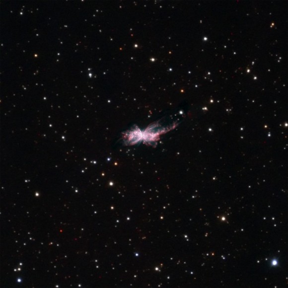 NGC 6302 by Don Goldman