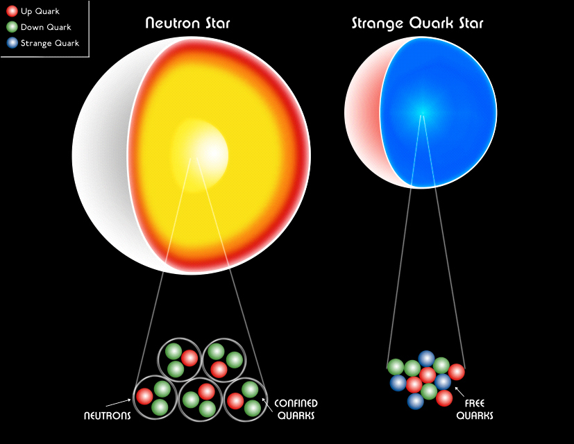 Neutron Stars, Quark Stars Might be the Densest Bodies in the