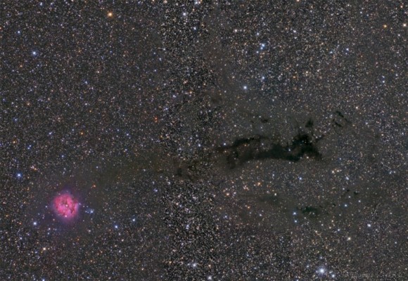 The Cocoon Nebula by Tom V. Davis