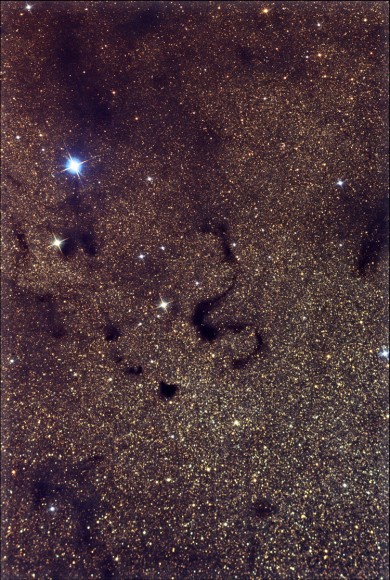 Dark Nebula