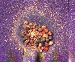 colored-magnetic-particlesImage NASA/JPL-Caltech/University of Arizona/Imperial College London Colored magnetic particles in Mars soil. Image NASA/JPL-Caltech/University of Arizona/Imperial College London