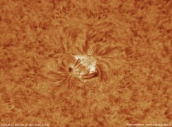 A closeup of the Cycle 24 spots. Observed on September 22nd at Selsey, West Sussex, UK (© Pete Lawrence)