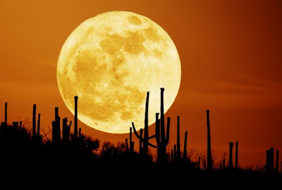 September 26, 2007 APOD - Saguaro Moon by Stefan Seip September 26, 2007 APOD - Saguaro Moon by Stefan Seip