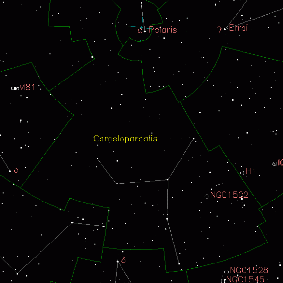 camelopardalis Camelopardalis