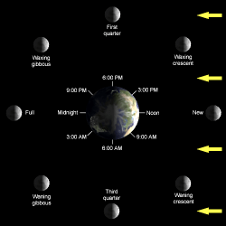 Diagram of Moon Phases Diagram of Moon Phases
