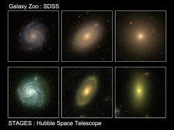 images of three galaxies from the Galaxy Zoo (top) and STAGES surveys (bottom) show examples of how the newly discovered population of red spiral galaxies on the outskirts of crowded regions in the Universe may be a missing link in our understanding of galaxy evolution. Images of three galaxies from the Galaxy Zoo (top) and STAGES surveys (bottom) show examples of how the newly discovered population of red spiral galaxies on the outskirts of crowded regions in the Universe may be a missing link in our understanding of galaxy evolution.