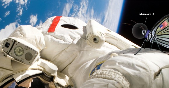 Will butterflies in space grow different to butterflies on Earth? (NASA, editing by Ian O'Neill)