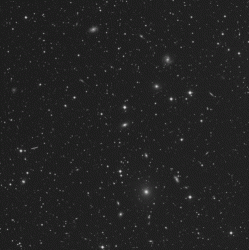 abell347