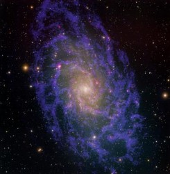 m33_oara