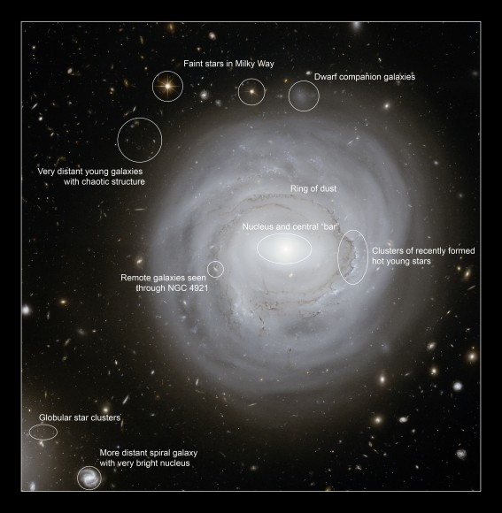 Annotated deep Hubble Space Telescope image of NGC 4921 indictating the locations of some of the more interesting features of the galaxy and its surroundings. Credits: NASA, ESA and K. Cook (Lawrence Livermore National Laboratory, USA) Annotated deep Hubble Space Telescope image of NGC 4921 indictating the locations of some of the more interesting features of the galaxy and its surroundings. Credits: NASA, ESA and K. Cook (Lawrence Livermore National Laboratory, USA)