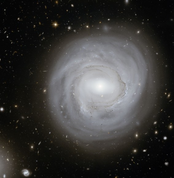 This deep image taken with the NASA/ESA Hubble Space Telescope shows the spiral galaxy NGC 4921 along with a spectacular backdrop of more distant galaxies. It was created from a total of 80 separate pictures taken with yellow and near-infrared filters. Credits: NASA, ESA and K. Cook (Lawrence Livermore National Laboratory, USA) This deep image taken with the NASA/ESA Hubble Space Telescope shows the spiral galaxy NGC 4921 along with a spectacular backdrop of more distant galaxies. It was created from a total of 80 separate pictures taken with yellow and near-infrared filters. Credits: NASA, ESA and K. Cook (Lawrence Livermore National Laboratory, USA)