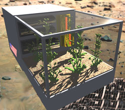 A prototype space greenhouse. Credit: Paragon Space Development Corp. A prototype space greenhouse. Credit: Paragon Space Development Corp.