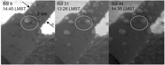 Possible droplets of salty brine on Martian lander - show signs of changes of shape and coalescing