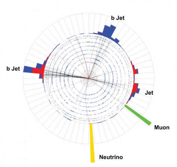 This proton-antiproton collision, recorded by the DZero collaboration, is among the single top quark candidate events. The top quark decayed and produced a bottom quark jet (b jet), a muon and a neutrino. Credit: DZero collaboration. This proton-antiproton collision, recorded by the DZero collaboration, is among the single top quark candidate events. The top quark decayed and produced a bottom quark jet (b jet), a muon and a neutrino. Credit: DZero collaboration.
