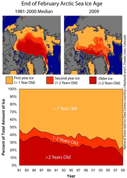 Maps show the relative age of Arctic sea ice at the end of February 2009 and over time. Thin, first-year ice is the predominant type covering the Arctic Ocean this winter. Credit: From NSIDC, courtesy Chuck Fowler and Jim Maslanik, University of Colorado Maps show the relative age of Arctic sea ice at the end of February 2009 and over time. Thin, first-year ice is the predominant type covering the Arctic Ocean this winter. Credit: From NSIDC, courtesy Chuck Fowler and Jim Maslanik, University of Colorado