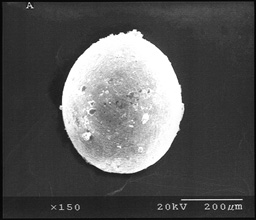 Micrometeorite. Credit: Washington State University Micrometeorite. Credit: Washington State University