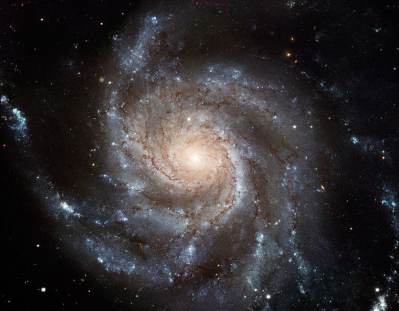 Spiral galaxy M101. Image credit: Hubble Spiral galaxy M101. Image credit: Hubble