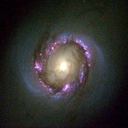 NGC 4314. Image credit: Hubble NGC 4314. Image credit: Hubble