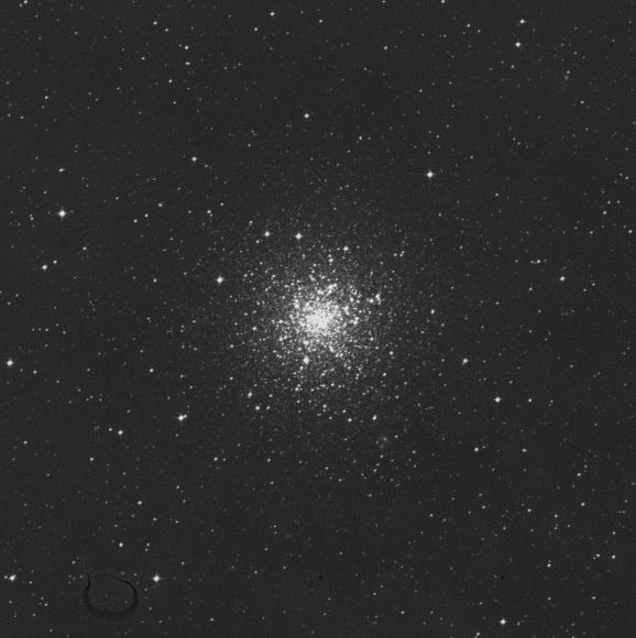 m12 m12