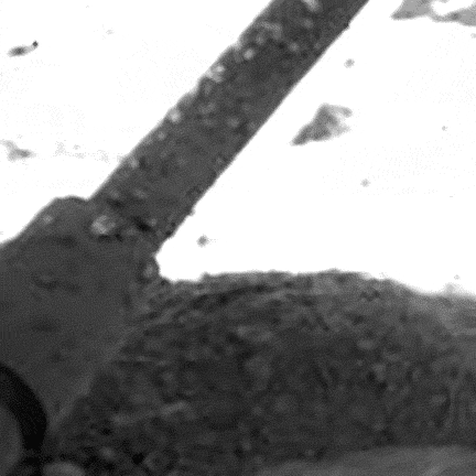 Blobs of something "growing" on the Phoenix lander's legs. Blobs of something "growing" on the Phoenix lander's legs.