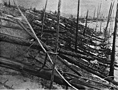 Photograph from the Soviet Academy of Science 1927 expedition led by Leonid Kulik Photograph from the Soviet Academy of Science 1927 expedition led by Leonid Kulik