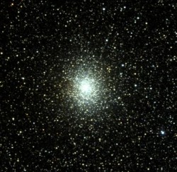 m19a