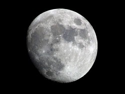 Moon Moon