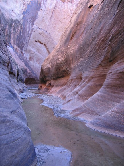 Sample_Pic_03 Sedimentary rock forms where water flows.