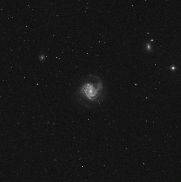 m61