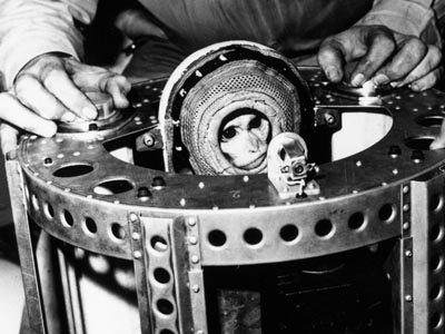 Monkeys in Space Monkeys in Space
