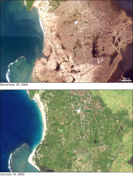 Devastation in Indonesia