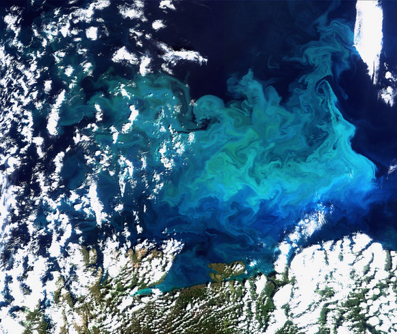 This Envisat image captures a plankton bloom in the Barents Sea. Credit: ESA This Envisat image captures a plankton bloom in the Barents Sea. Credit: ESA