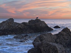 Sample_Pic_05