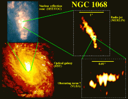 m77_vbla