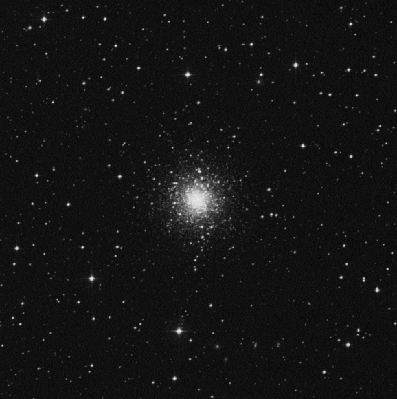 m79 m79