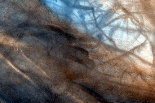 Sand dunes. Credit: NASA/JPL/University of Arizona Sand dunes. Credit: NASA/JPL/University of Arizona