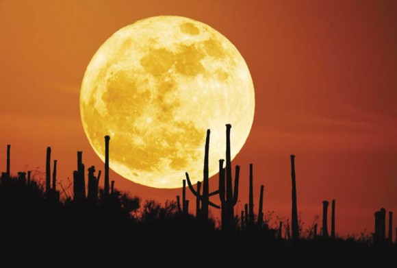smoon