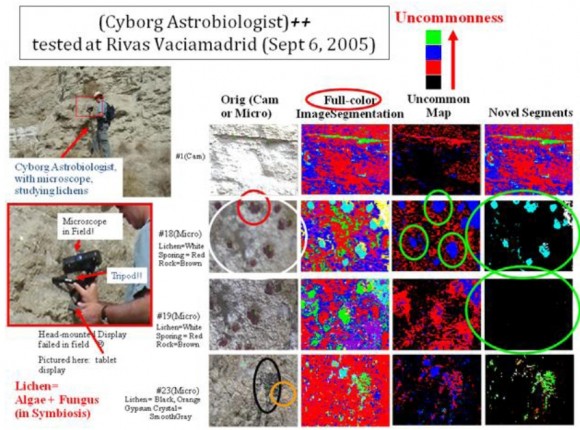 The Hopfield AI system was able to successfully identify lichen spores imaged by a digital microscope as a novel feature on rock formations in Rivas Vaciamadrid, Spain. Image Credit: Patrick McGuire arXiv:0910.5454 The Hopfield AI system was able to successfully identify lichen spores imaged by a digital microscope as a novel feature on rock formations in Rivas Vaciamadrid, Spain. Image Credit: Patrick McGuire arXiv:0910.5454