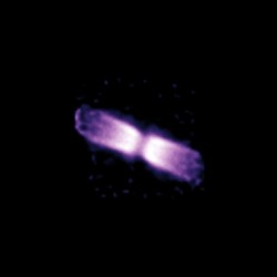 Shell around V445 Puppis  (March 2005). Credit: ESO 