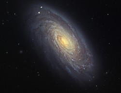 M88_double