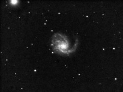 M99_color