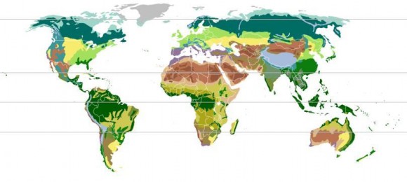 Biomes Biomes