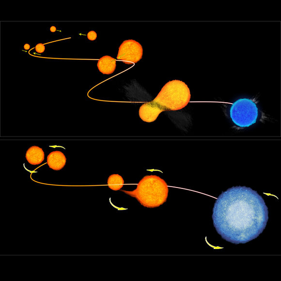 This illustration demonstrates the two ways that blue stragglers — or "rejuvenated" stars — in globular clusters form. Credit: NASA/ESA This illustration demonstrates the two ways that blue stragglers — or "rejuvenated" stars — in globular clusters form. Credit: NASA/ESA