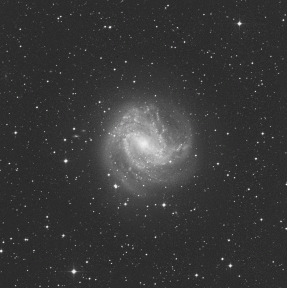 m83