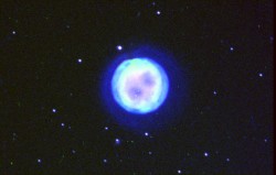 m97_owl